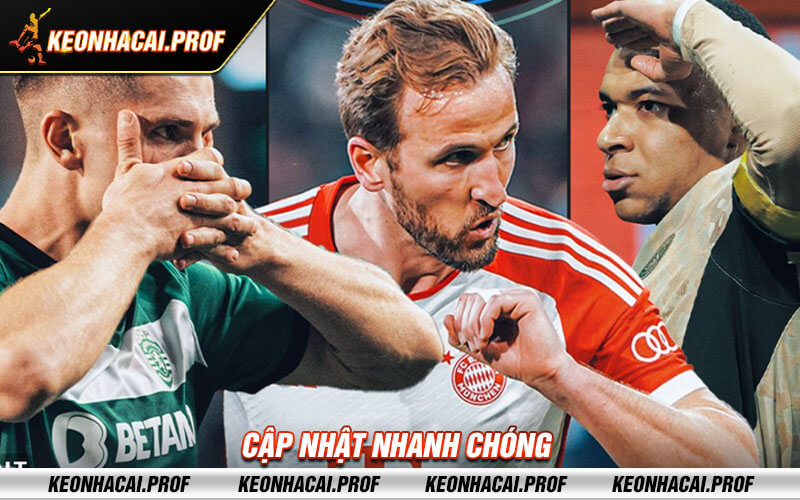 Cap nhat nhanh chong Cập nhật nhanh chóng