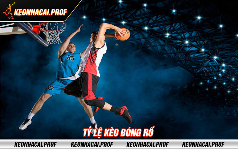 Ty le keo bong ro Tỷ lệ kèo bóng rổ